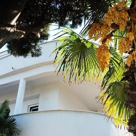 Klara Ii Apartment Pula